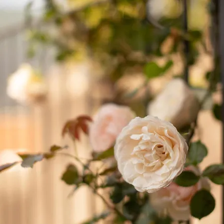 Διαμέρισμα Pietralago, Casa Con Vista Sul